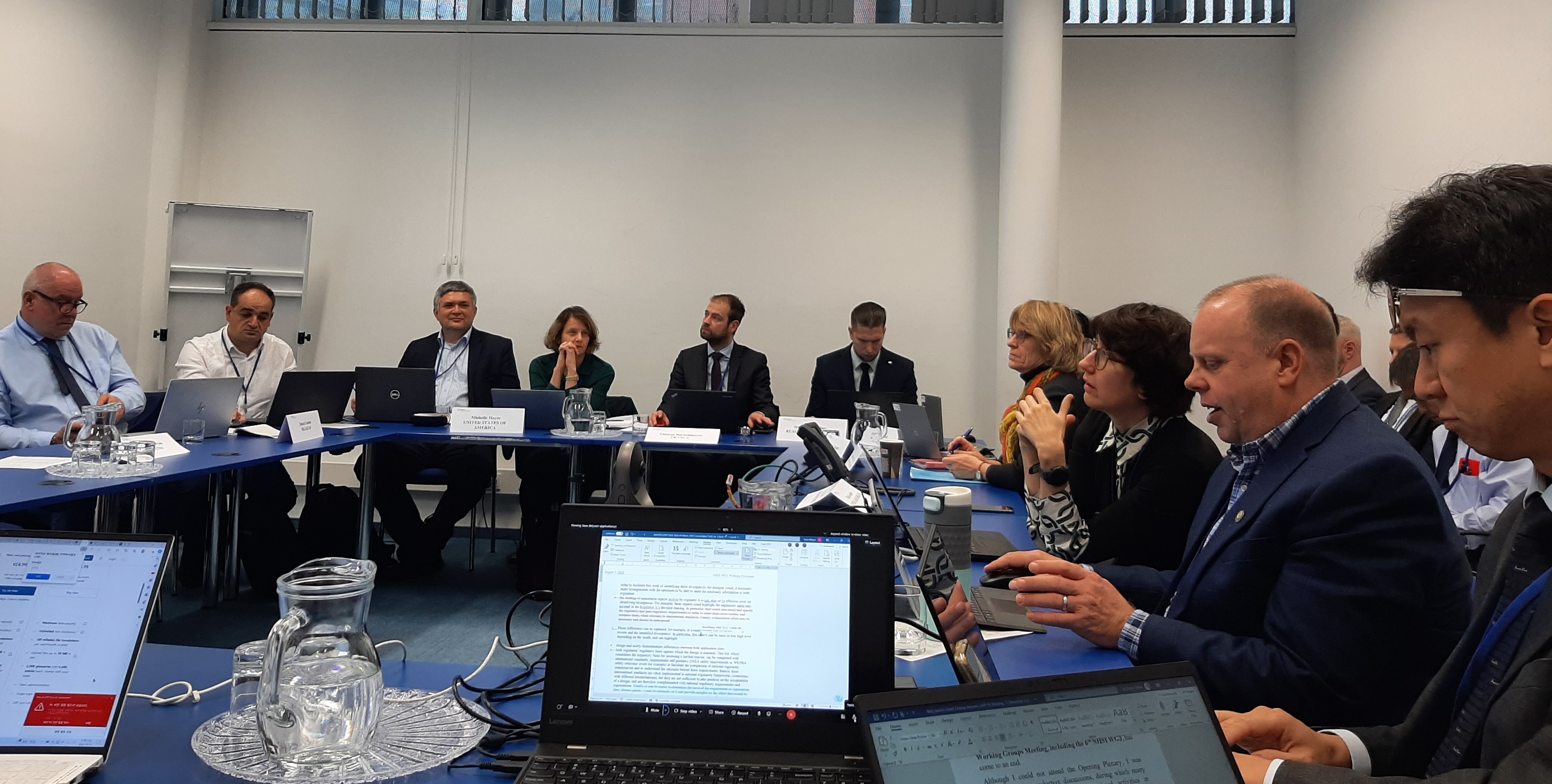 Members of the SMR RF Licensing Issues Working Group at the NHSI WG3 Meeting, 13 December 2023